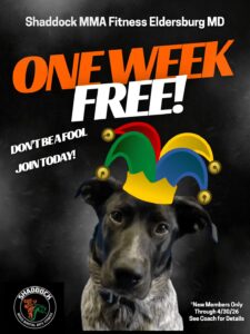 Instagram Ad April 2026 Shaddock MMA (1)