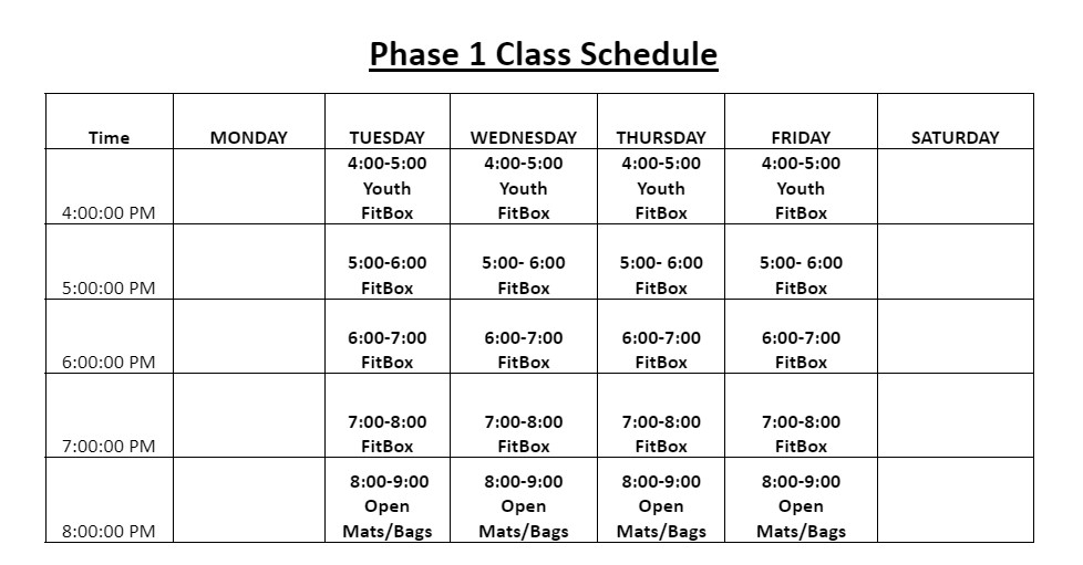 Phase 1 Schedule