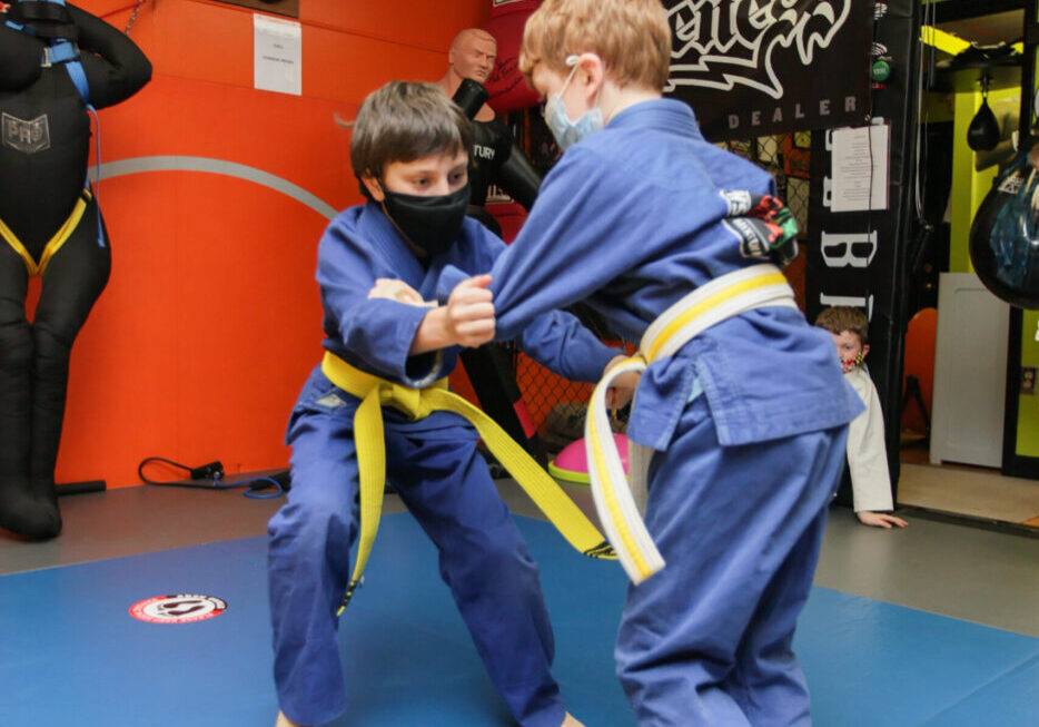two kids in martial arts class program